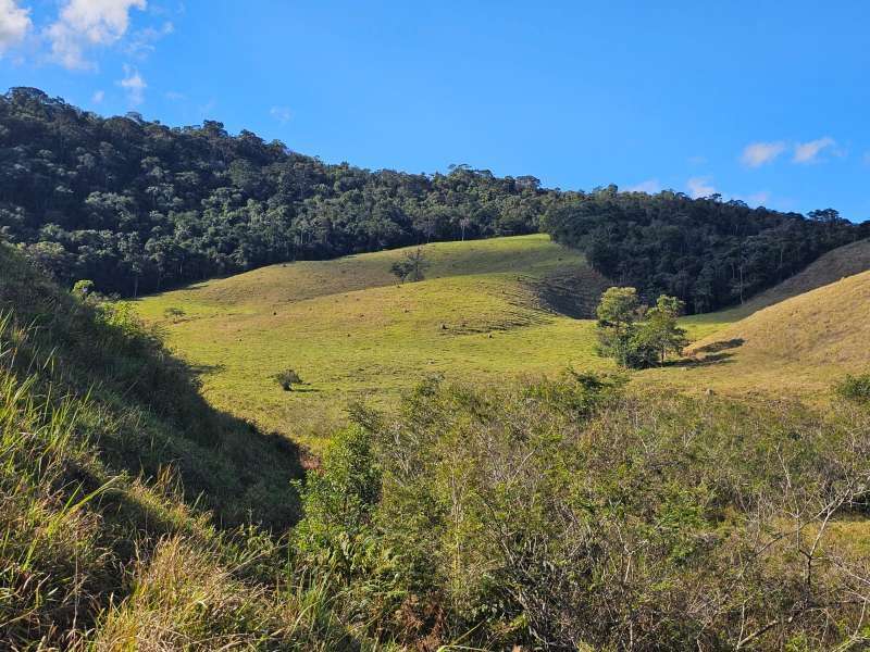 Sítio à Venda no bairro Zona Rural em Santa Bárbara do Monte Verde imagem 1