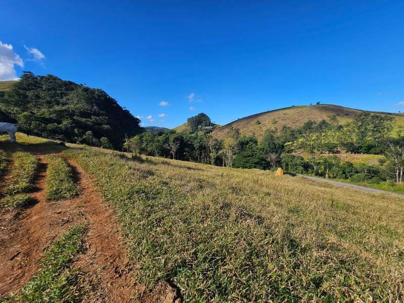 Sítio à Venda no bairro Zona Rural em Santa Bárbara do Monte Verde imagem 22