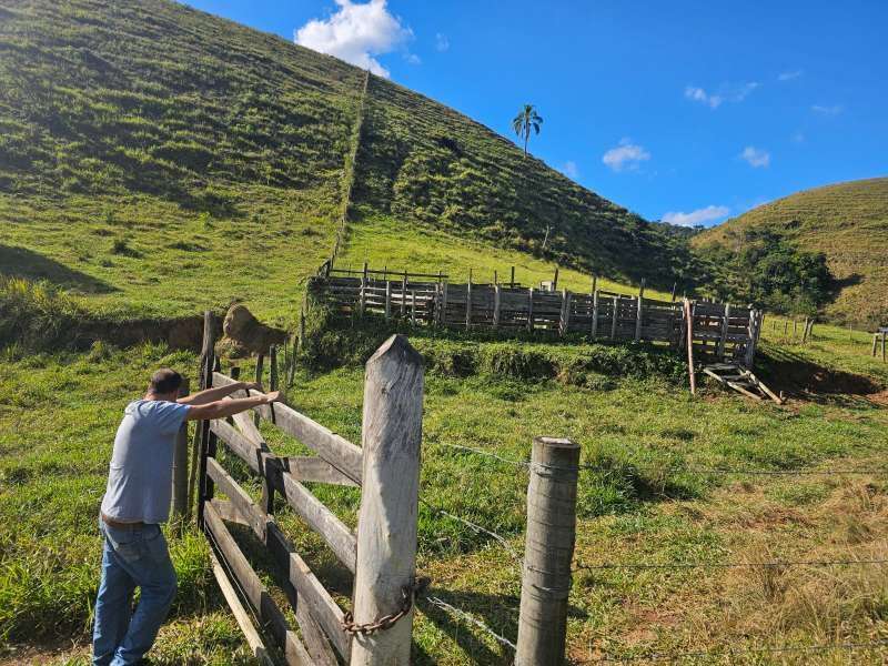 Sítio à Venda no bairro Zona Rural em Santa Bárbara do Monte Verde imagem 25
