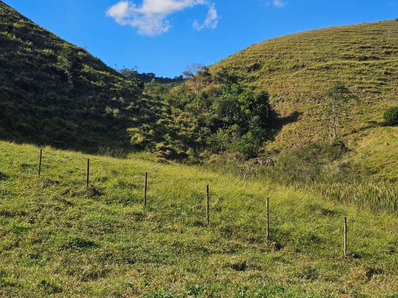 Sítio à Venda no bairro Zona Rural em Santa Bárbara do Monte Verde imagem 34
