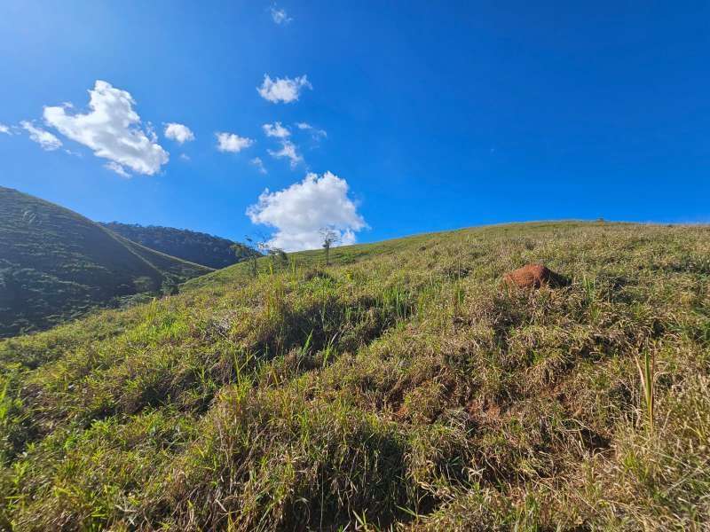 Sítio à Venda no bairro Zona Rural em Santa Bárbara do Monte Verde imagem 23