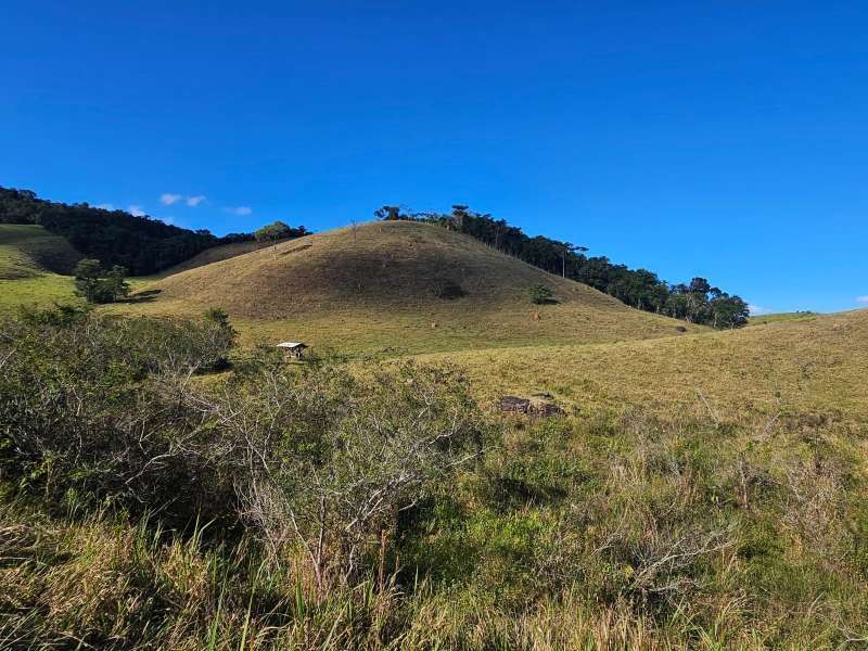 Sítio à Venda no bairro Zona Rural em Santa Bárbara do Monte Verde imagem 28