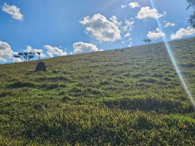 Sítio à Venda no bairro Zona Rural em Santa Bárbara do Monte Verde imagem 18
