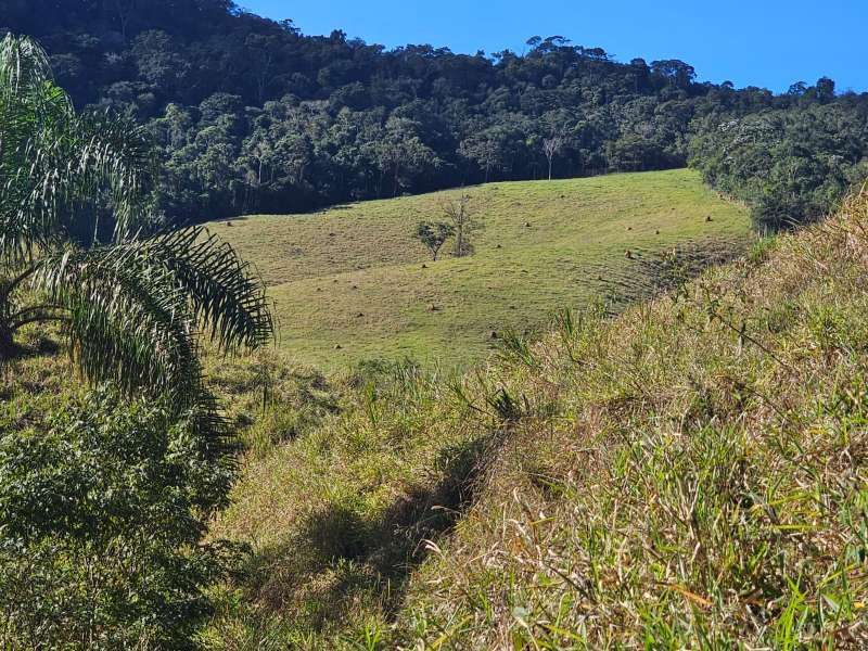 Sítio à Venda no bairro Zona Rural em Santa Bárbara do Monte Verde imagem 15