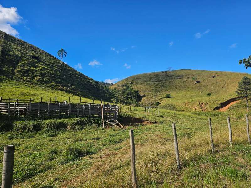 Sítio à Venda no bairro Zona Rural em Santa Bárbara do Monte Verde imagem 27