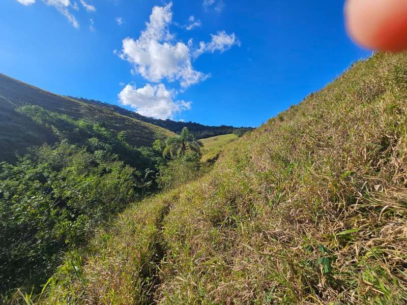 Sítio à Venda no bairro Zona Rural em Santa Bárbara do Monte Verde imagem 10