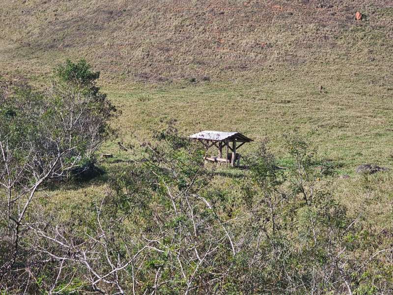 Sítio à Venda no bairro Zona Rural em Santa Bárbara do Monte Verde imagem 12