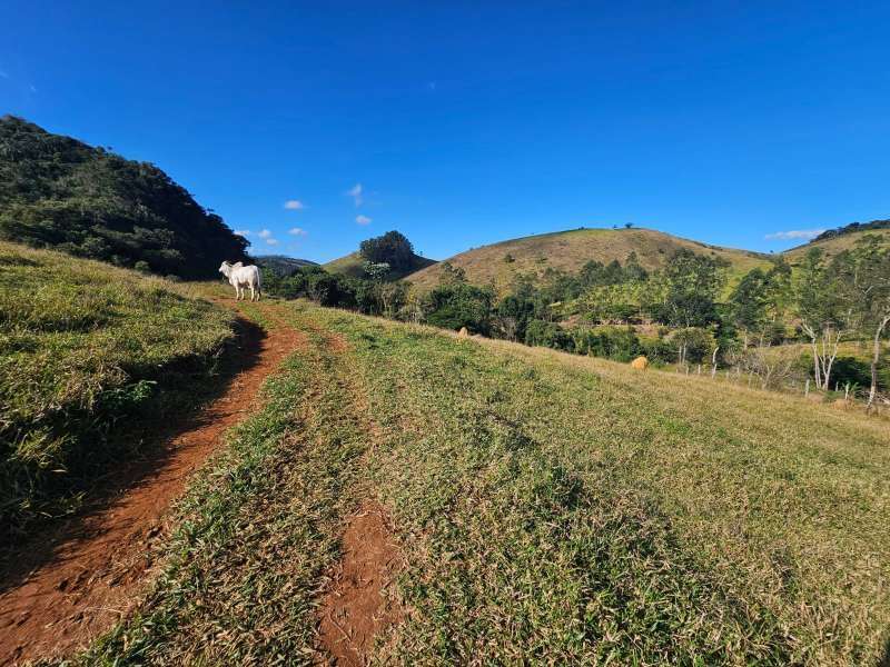 Sítio à Venda no bairro Zona Rural em Santa Bárbara do Monte Verde imagem 30