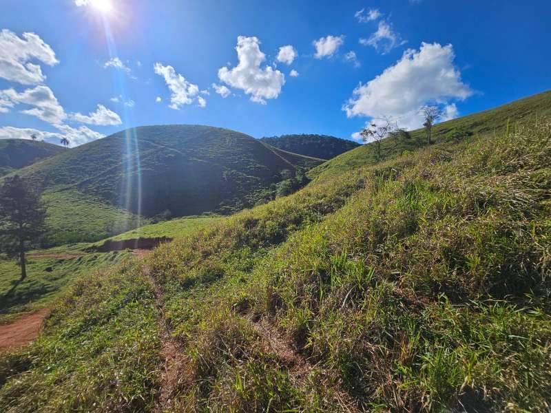 Sítio à Venda no bairro Zona Rural em Santa Bárbara do Monte Verde imagem 32