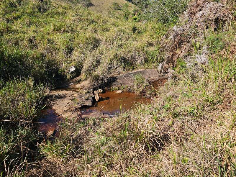 Sítio à Venda no bairro Zona Rural em Santa Bárbara do Monte Verde imagem 11