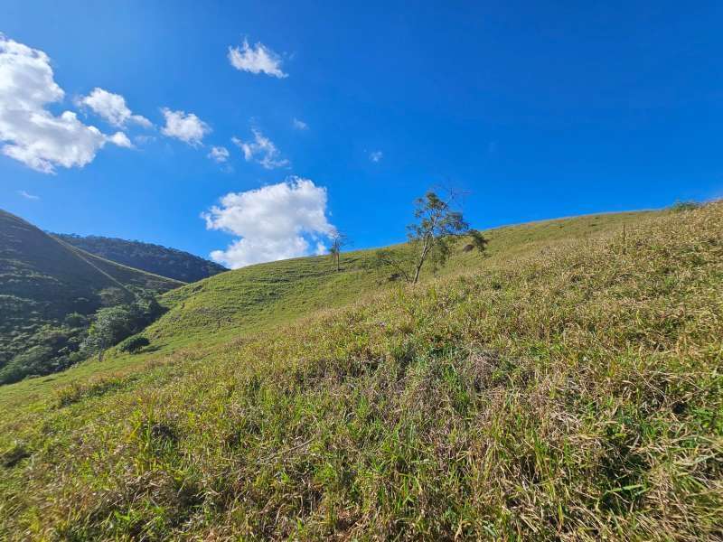Sítio à Venda no bairro Zona Rural em Santa Bárbara do Monte Verde imagem 33