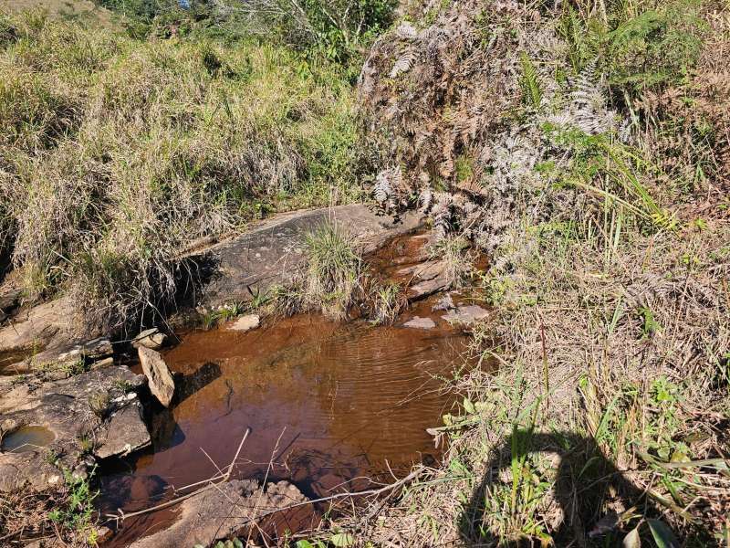 Sítio à Venda no bairro Zona Rural em Santa Bárbara do Monte Verde imagem 7