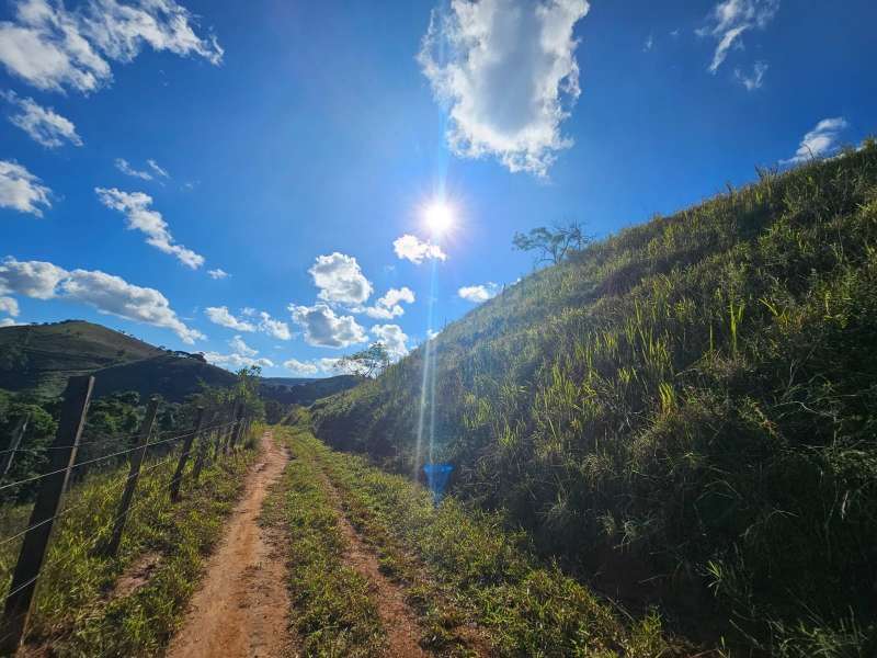 Sítio à Venda no bairro Zona Rural em Santa Bárbara do Monte Verde imagem 26