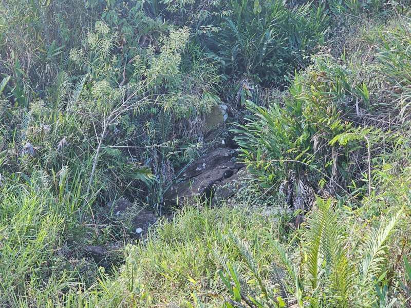 Sítio à Venda no bairro Zona Rural em Santa Bárbara do Monte Verde imagem 29
