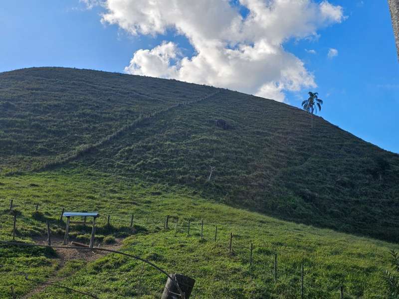 Sítio à Venda no bairro Zona Rural em Santa Bárbara do Monte Verde imagem 9