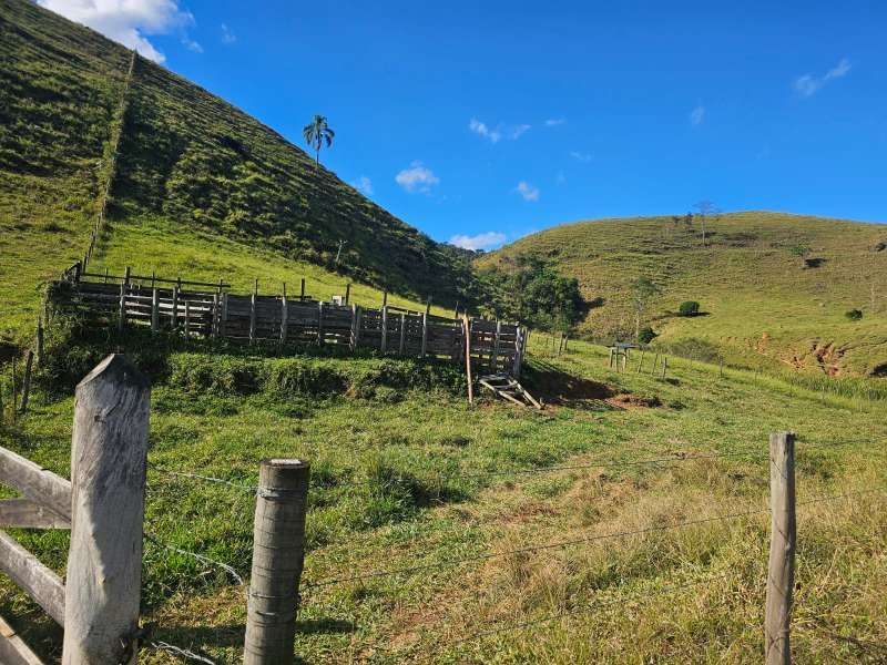 Sítio à Venda no bairro Zona Rural em Santa Bárbara do Monte Verde imagem 31