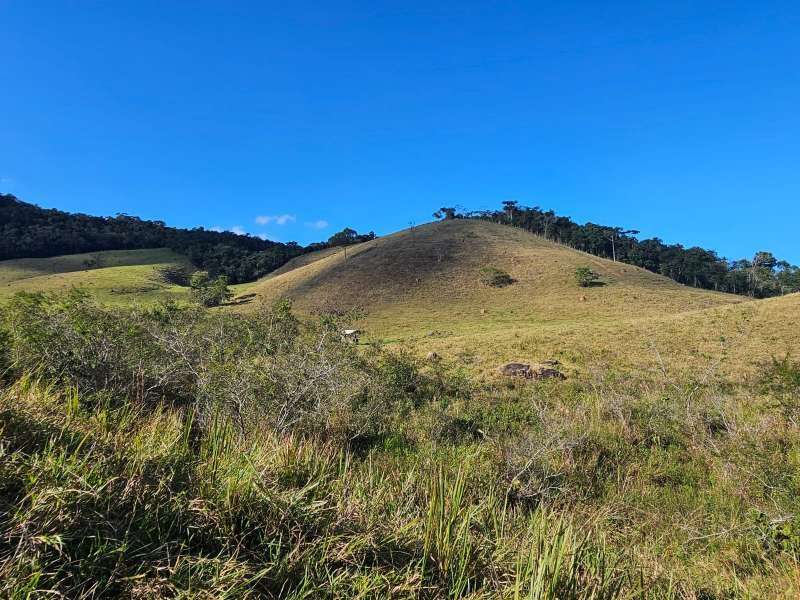 Sítio à Venda no bairro Zona Rural em Santa Bárbara do Monte Verde imagem 6