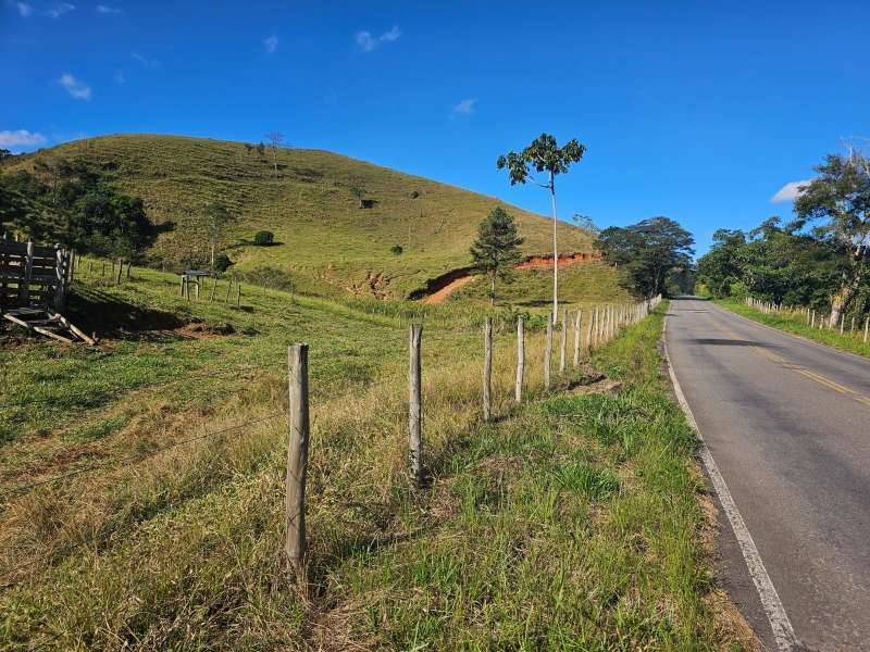 Sítio à Venda no bairro Zona Rural em Santa Bárbara do Monte Verde imagem 19