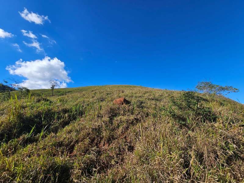 Sítio à Venda no bairro Zona Rural em Santa Bárbara do Monte Verde imagem 17