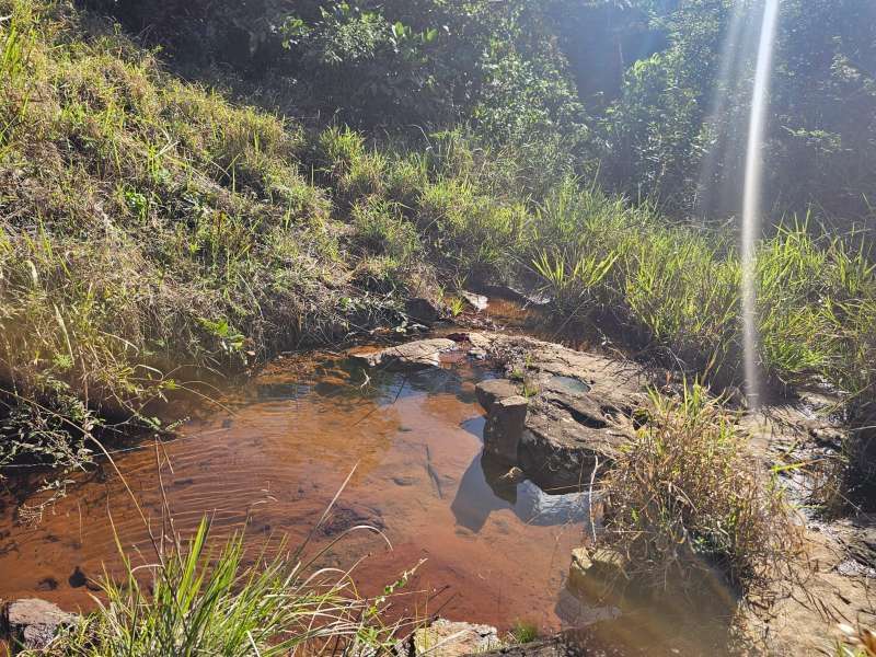 Sítio à Venda no bairro Zona Rural em Santa Bárbara do Monte Verde imagem 3