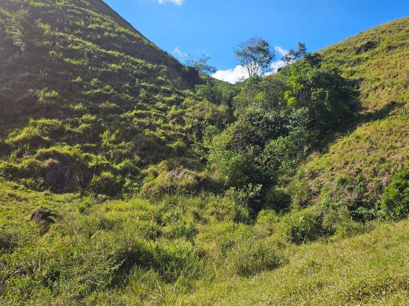 Sítio à Venda no bairro Zona Rural em Santa Bárbara do Monte Verde imagem 24