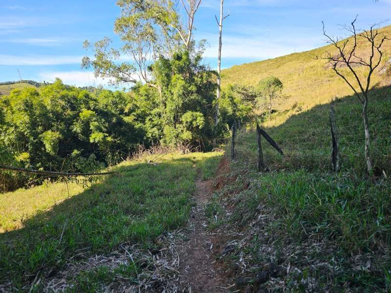 Sítio à Venda no bairro Zona Rural em Parapeúna imagem 7