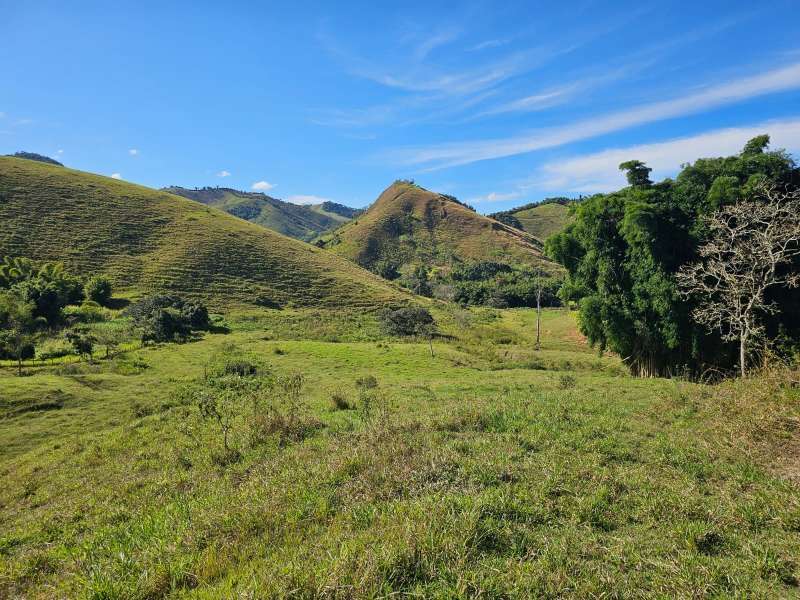 Sítio à Venda no bairro Zona Rural em Parapeúna imagem 10