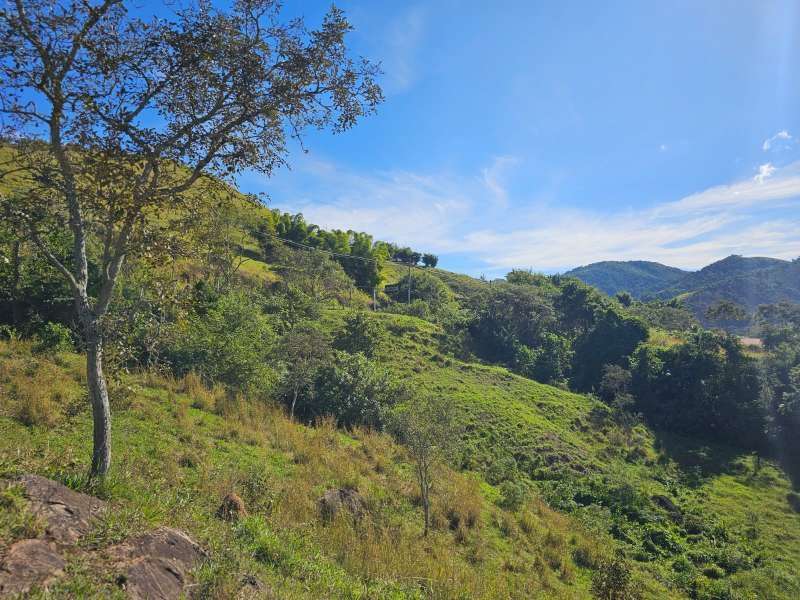 Sítio à Venda no bairro Zona Rural em Parapeúna imagem 9