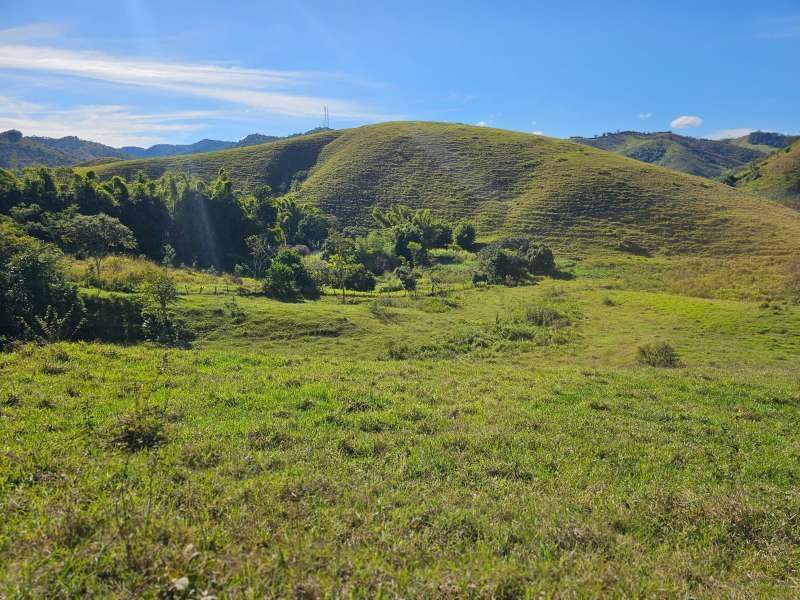 Sítio à Venda no bairro Zona Rural em Parapeúna imagem 5
