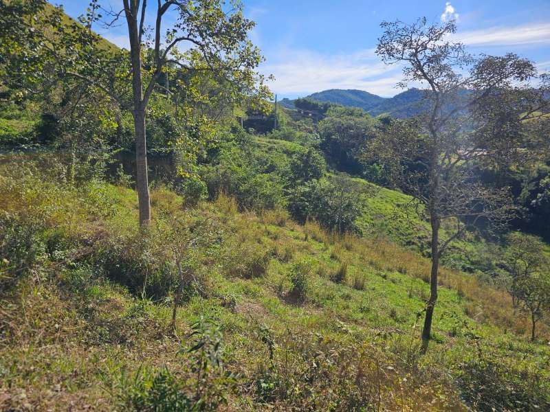 Sítio à Venda no bairro Zona Rural em Parapeúna imagem 8