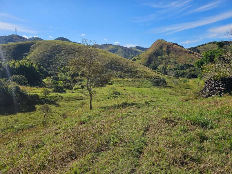 Sítio à Venda no bairro Zona Rural em Parapeúna imagem 12