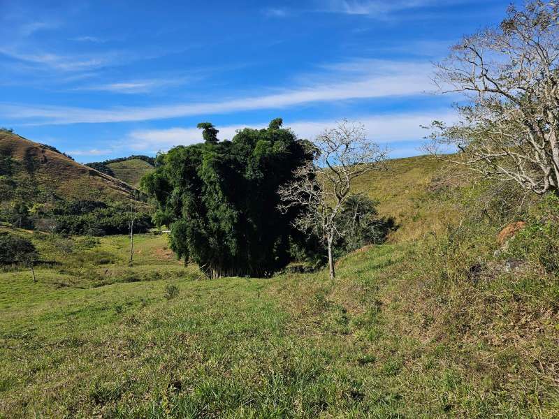 Sítio à Venda no bairro Zona Rural em Parapeúna imagem 11