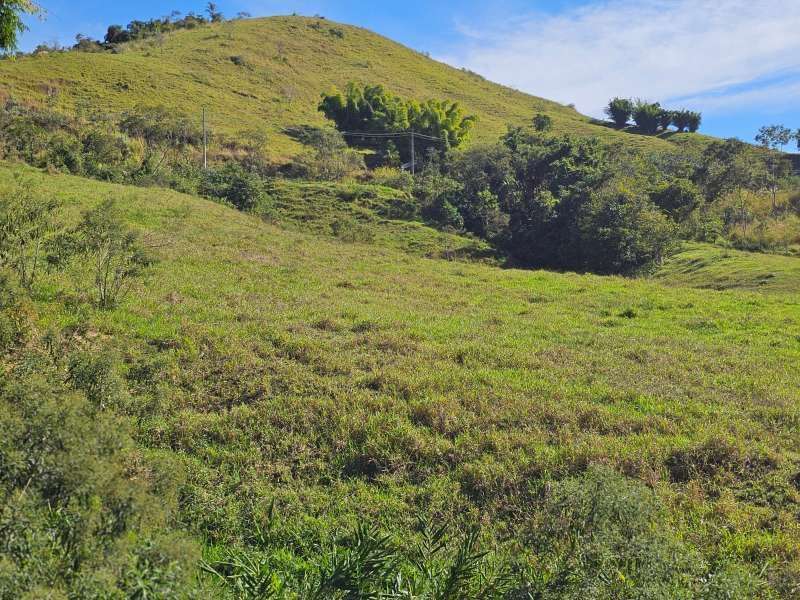 Sítio à Venda no bairro Zona Rural em Parapeúna imagem 16