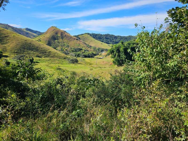 Sítio à Venda no bairro Zona Rural em Parapeúna imagem 13