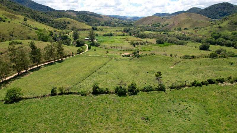 Fazenda à Venda no bairro Zona Rural em Rio Preto imagem 9
