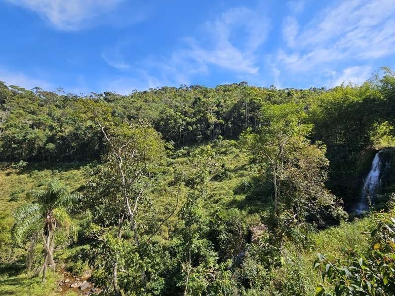 Sítio à Venda no bairro Zona Rural em Rio Preto imagem 11
