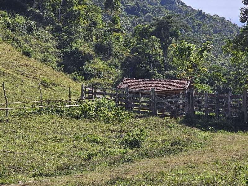Sítio à Venda no bairro Zona Rural em Rio Preto imagem 12