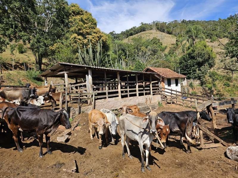 Sítio à Venda no bairro Zona Rural em Rio Preto imagem 19