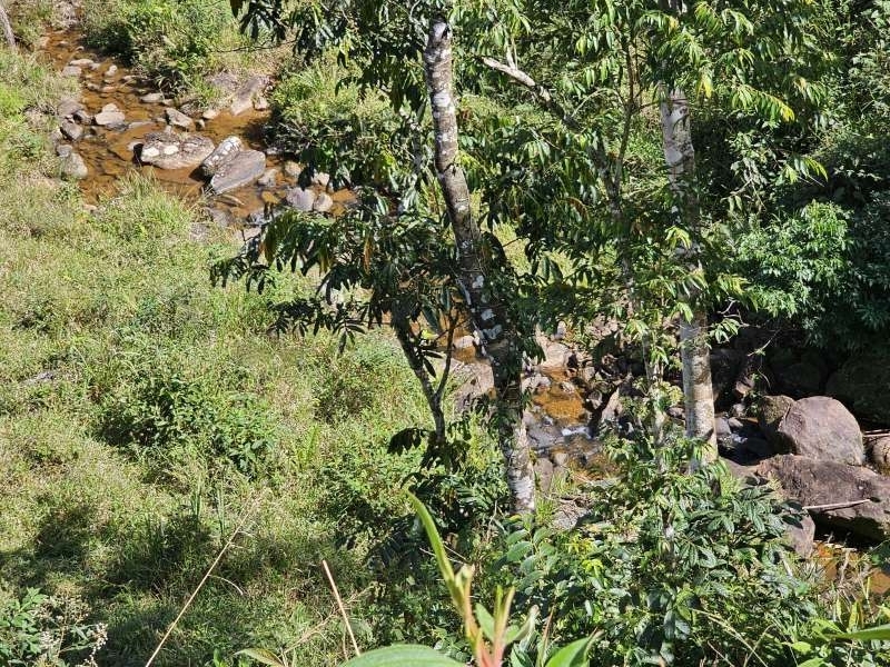 Sítio à Venda no bairro Zona Rural em Rio Preto imagem 16