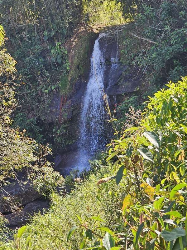 Sítio à Venda no bairro Zona Rural em Rio Preto imagem 13