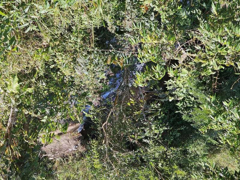 Sítio à Venda no bairro Zona Rural em Rio Preto imagem 17