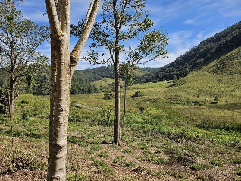 Sítio à Venda no bairro Zona Rural em Rio Preto imagem 25
