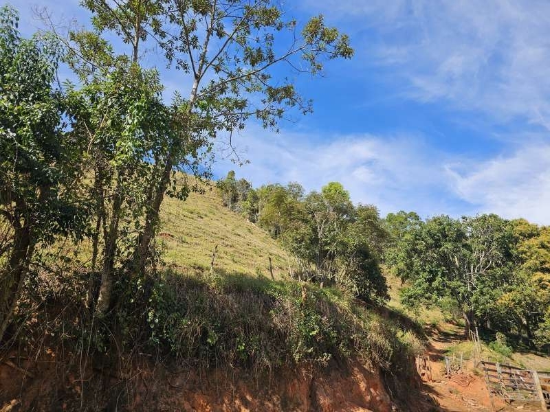 Sítio à Venda no bairro Zona Rural em Rio Preto imagem 5
