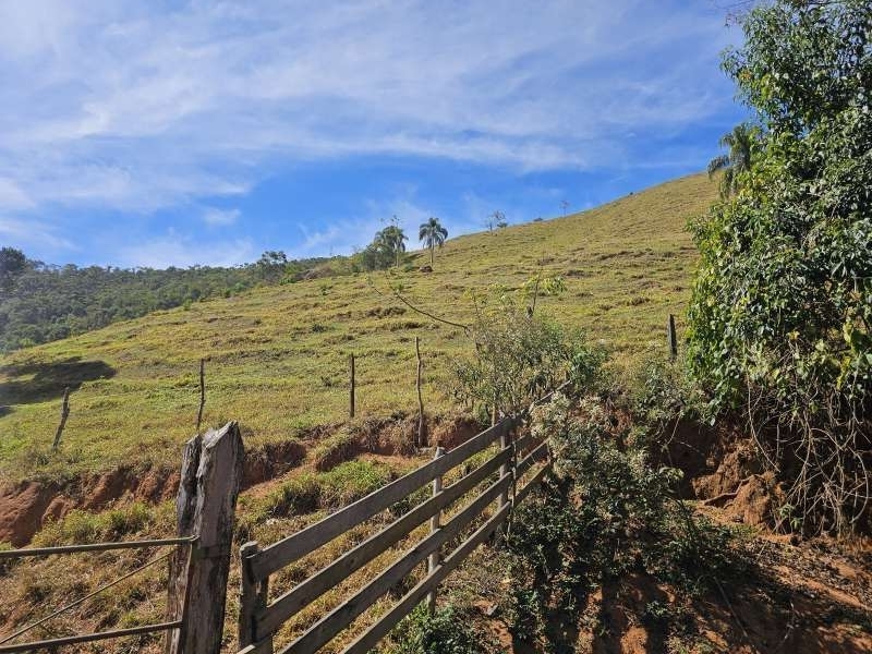 Sítio à Venda no bairro Zona Rural em Rio Preto imagem 14