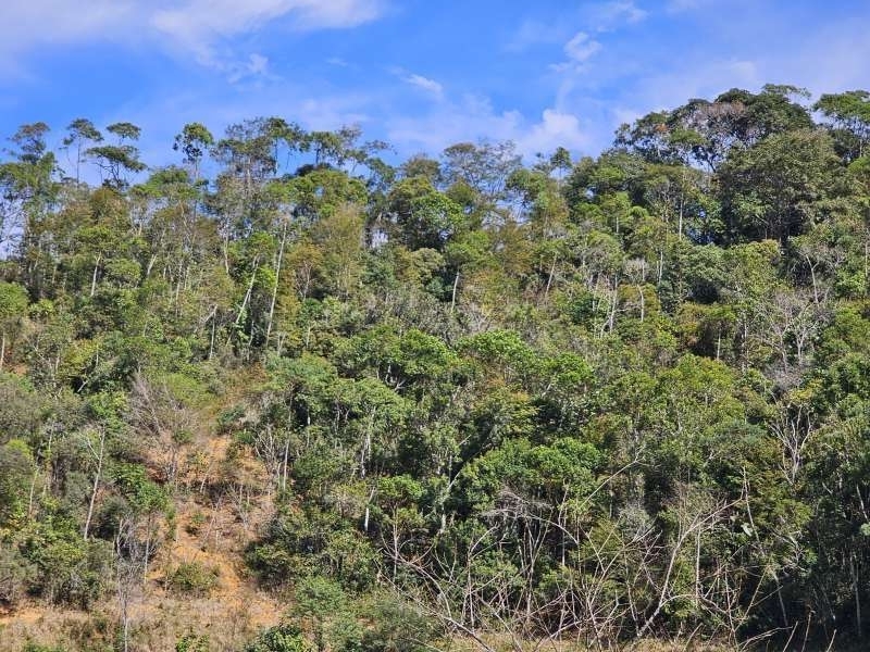 Sítio à Venda no bairro Zona Rural em Rio Preto imagem 10