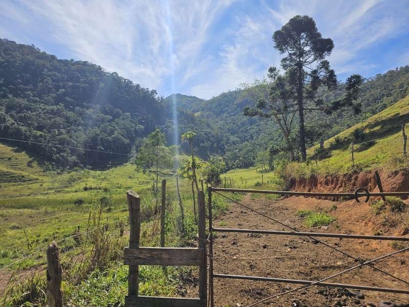 Sítio à Venda no bairro Zona Rural em Rio Preto imagem 8