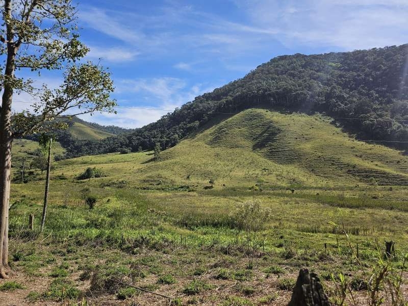 Sítio à Venda no bairro Zona Rural em Rio Preto imagem 21