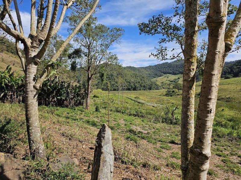 Sítio à Venda no bairro Zona Rural em Rio Preto imagem 3