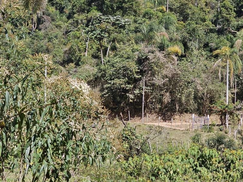 Sítio à Venda no bairro Zona Rural em Rio Preto imagem 15