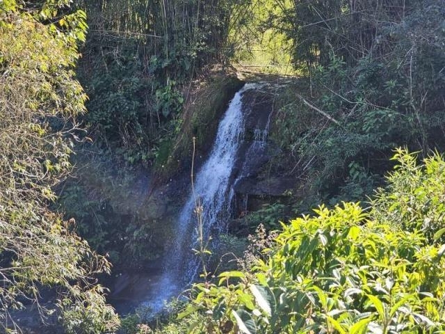Sítio Venda Zona Rural em Rio Preto